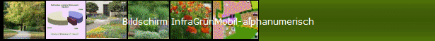 Bildschirm InfraGr�nMobil-alphanumerisch