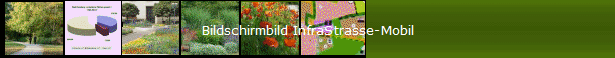 Bildschirmbild InfraStrasse-Mobil