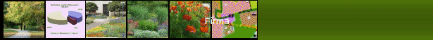Firma