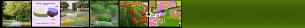 Gr�n